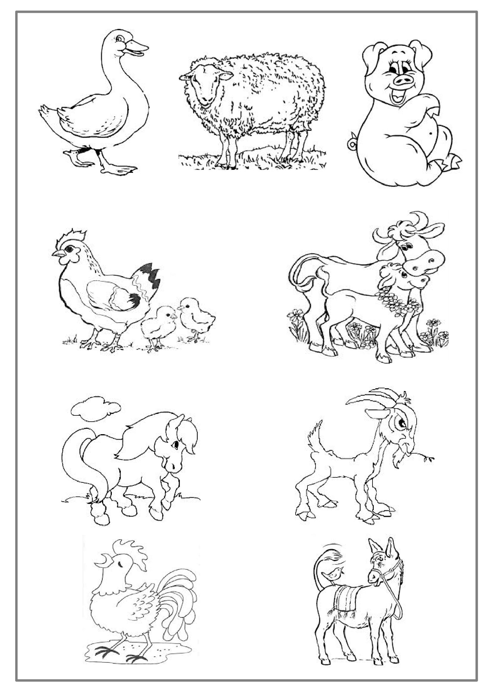 Coloriage De Les Animaux